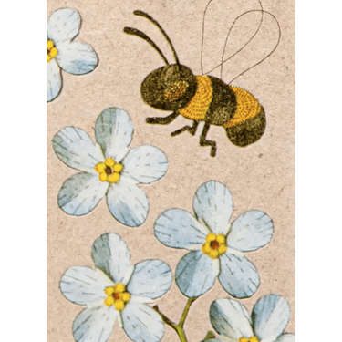 A Gift Tag - Forget-me-not – High quality House of Dudley homewares